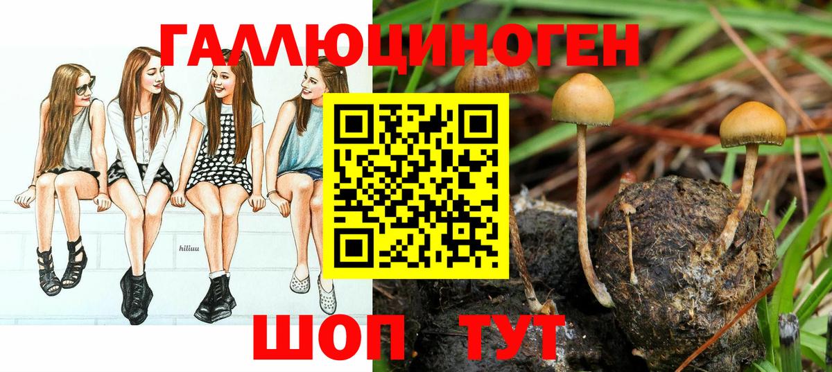 Псилоцибиновые грибы прущие грибы  Вход с VPN  Дивногорск 