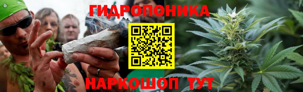 Бошки Шишки White Widow Дивногорск